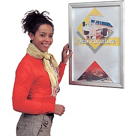 External Tamperproof Poster Frames