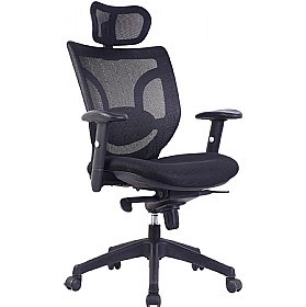 Aral Mesh Back Manager Chair