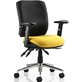 ergonomic back chair