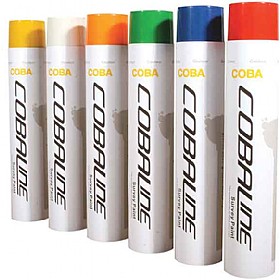Coba Survey Paint
