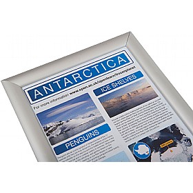 Secure Poster Display Cases