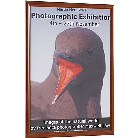 Busygrip Wood Look Poster Frames