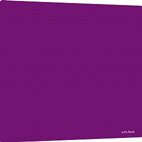 Pin Panelz Pantone Noticeboards