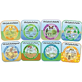 Life Cycle Full Set Of 8 Signs