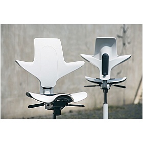 Express Delivery HAG Capisco Puls 8010 Chair White