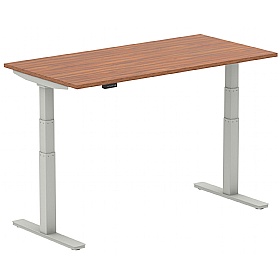 NEXT DAY InterAct Rectangular Standing Desks
