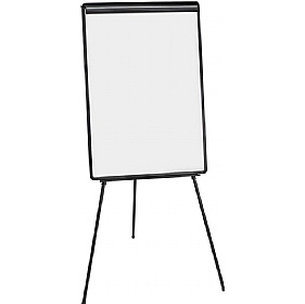 Bi-Office Flipchart Easel Bundle with Pads