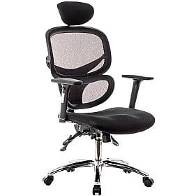 Desire Ergonomic Mesh Office Chair With Headrest