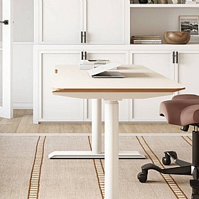 Bisley Perfect Sense Height Adjustable Standing Desk