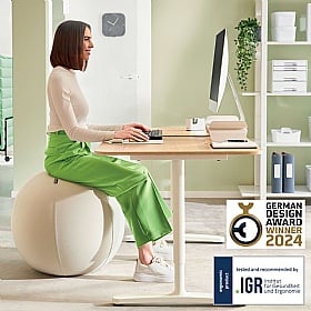 Leitz Ergo Active Sitting Ball with Anti Roll Away