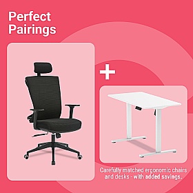 Perfect Pair Bundle 1: Santiago Ergonomic Posture Chair & Mono Compact Standing Desk
