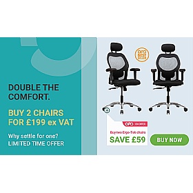 Ergo-Tek Mesh Executive Office Chair