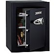 Sentry Electronic Safe T8-331