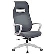 Spectra Mesh Office Chair