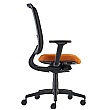Absolute Mesh Back Task Chair