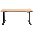 NEXT DAY Karbon Dual Motor Electric Height Adjustable Sit-Stand Desk