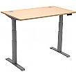 NEXT DAY Karbon Dual Motor Electric Height Adjustable Sit-Stand Desk