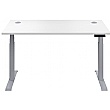 NEXT DAY Commerce II Height Adjustable Rectangular Sit-Stand Desks