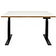 Novigami Josi Standing Desk - Electric Height Adjustable