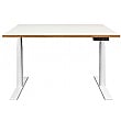 Novigami Josi Standing Desk - Electric Height Adjustable