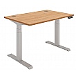 Karbon Select Dual Motor Electric Height Adjustable Sit-Stand Desk