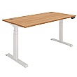 Karbon Select Dual Motor Electric Height Adjustable Sit-Stand Desk