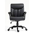 Padua Executive Office Chair