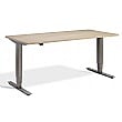 Nordic Dual Motor Height Adjustable Standing Desk