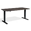 Nordic Dual Motor Height Adjustable Standing Desk