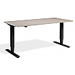 Nordic Dual Motor Height Adjustable Standing Desk