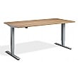 Nordic Dual Motor Height Adjustable Standing Desk