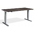 Nordic Dual Motor Height Adjustable Standing Desk