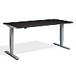 Nordic Dual Motor Height Adjustable Standing Desk