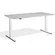 Nordic Dual Motor Height Adjustable Standing Desk