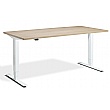 Nordic Dual Motor Height Adjustable Standing Desk