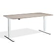 Nordic Dual Motor Height Adjustable Standing Desk