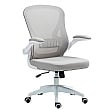 Ally Mesh Back Office Chair