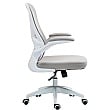 Ally Mesh Back Office Chair