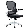 Ally Mesh Back Office Chair