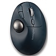 Kensington ProFit Ergo TB550 Trackball