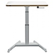 Leitz Ergo Small Electric Sit Standing Desk with Stand-Up Reminder