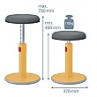 Leitz Ergo Cosy Active Sit Stand Stool 2 in1