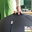Leitz Ergo Active Sitting Ball with Anti Roll Away