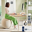 Leitz Ergo Active Sitting Ball with Anti Roll Away