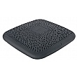 Leitz Ergo Active Wobble Cushion