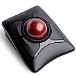 Kensington Expert Mouse Wireless Trackball