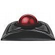 Kensington Expert Mouse Wireless Trackball