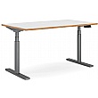 Novigami Josi Standing Desk - Electric Height Adjustable