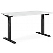 Novigami Ototo Standing Desk - Electric Height Adjustable