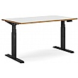Novigami Ototo Standing Desk - Electric Height Adjustable